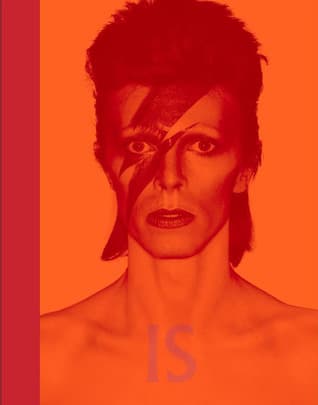 David Bowie Is: Inside the Visionary World of David Bowie