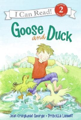 Goose and Duck: A Comic Nature Story About a Boy and the Birds Who Follow Him Everywhere for Kids (Ages 4-8)