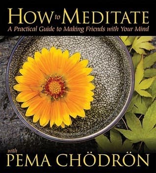 How to Meditate: A Practical Guide to Making Friends with Your Mind