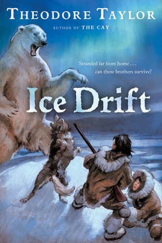 Ice Drift: A Gripping Arctic Tale About Brothers' Survival for Children