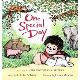 One Special Day: A Story for Big Brothers and Sisters