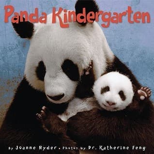 Panda Kindergarten: A True Story with Photographs About Baby Pandas Learning Wild Skills at China's Wolong Preserve for Kids