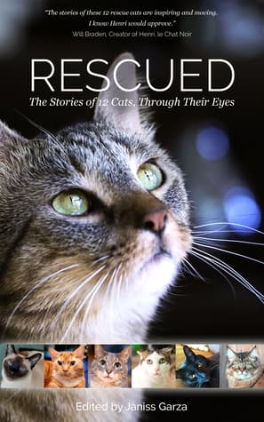 Rescued: The Stories of 12 Cats, Through Their Eyes
