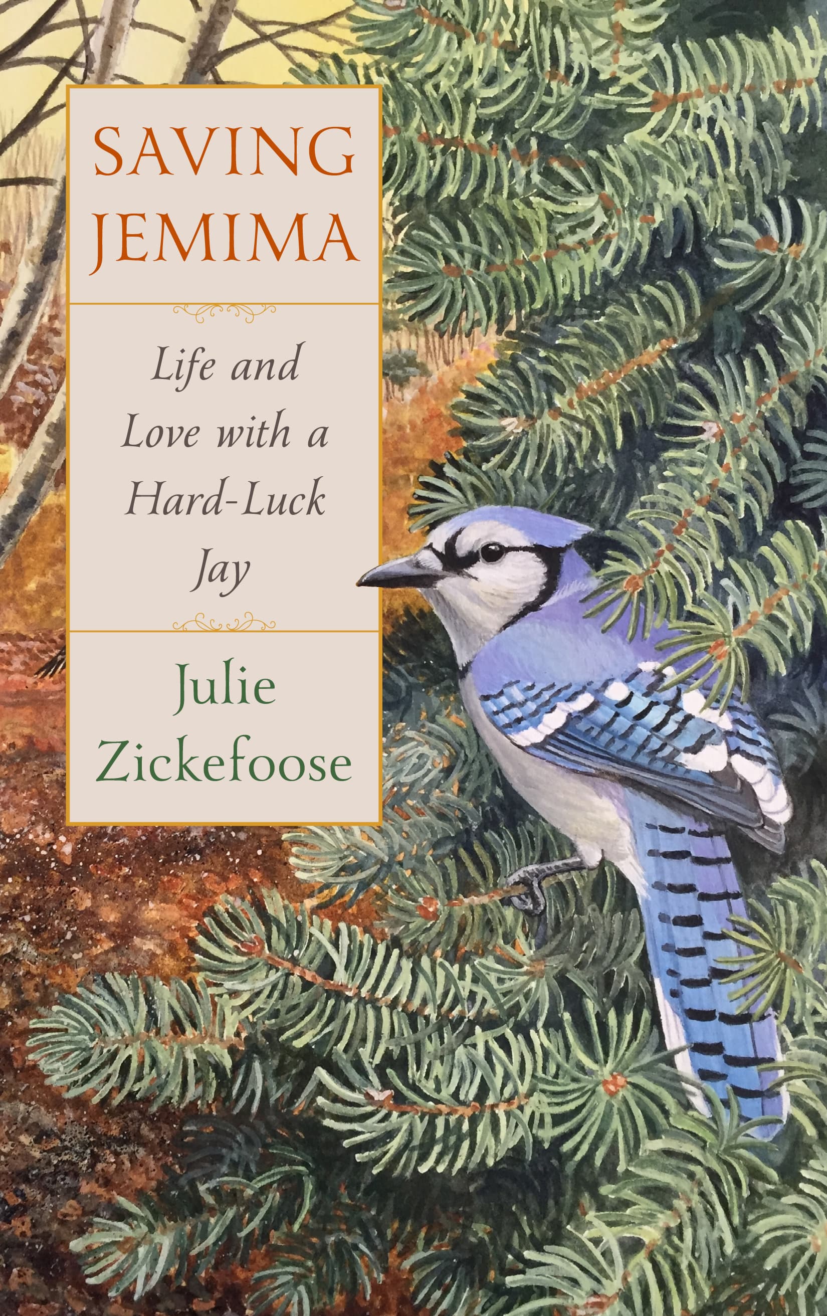 Saving Jemima: Life and Love with a Hard-Luck Jay – The Emotional True Story of Rehabilitating an Orphaned Blue Jay