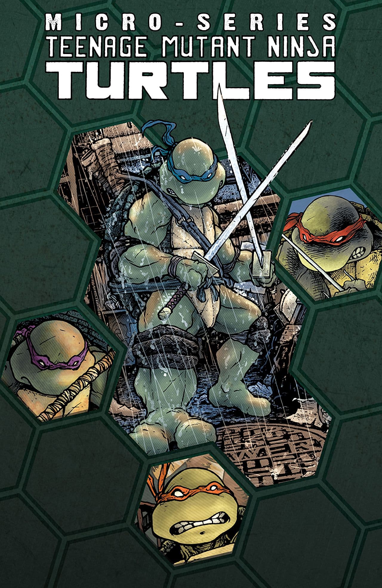Teenage Mutant Ninja Turtles Micro-Series, Volume 1