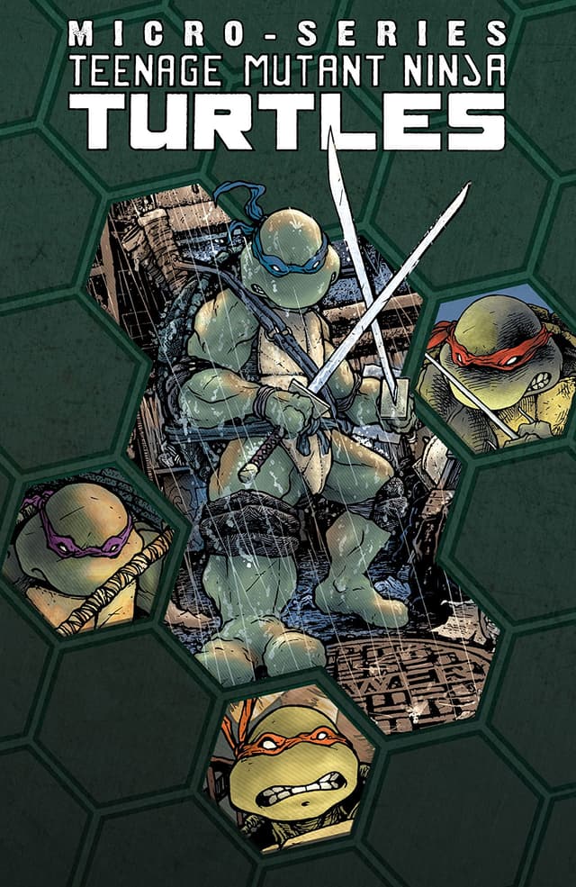Teenage Mutant Ninja Turtles Micro-Series, Volume 1