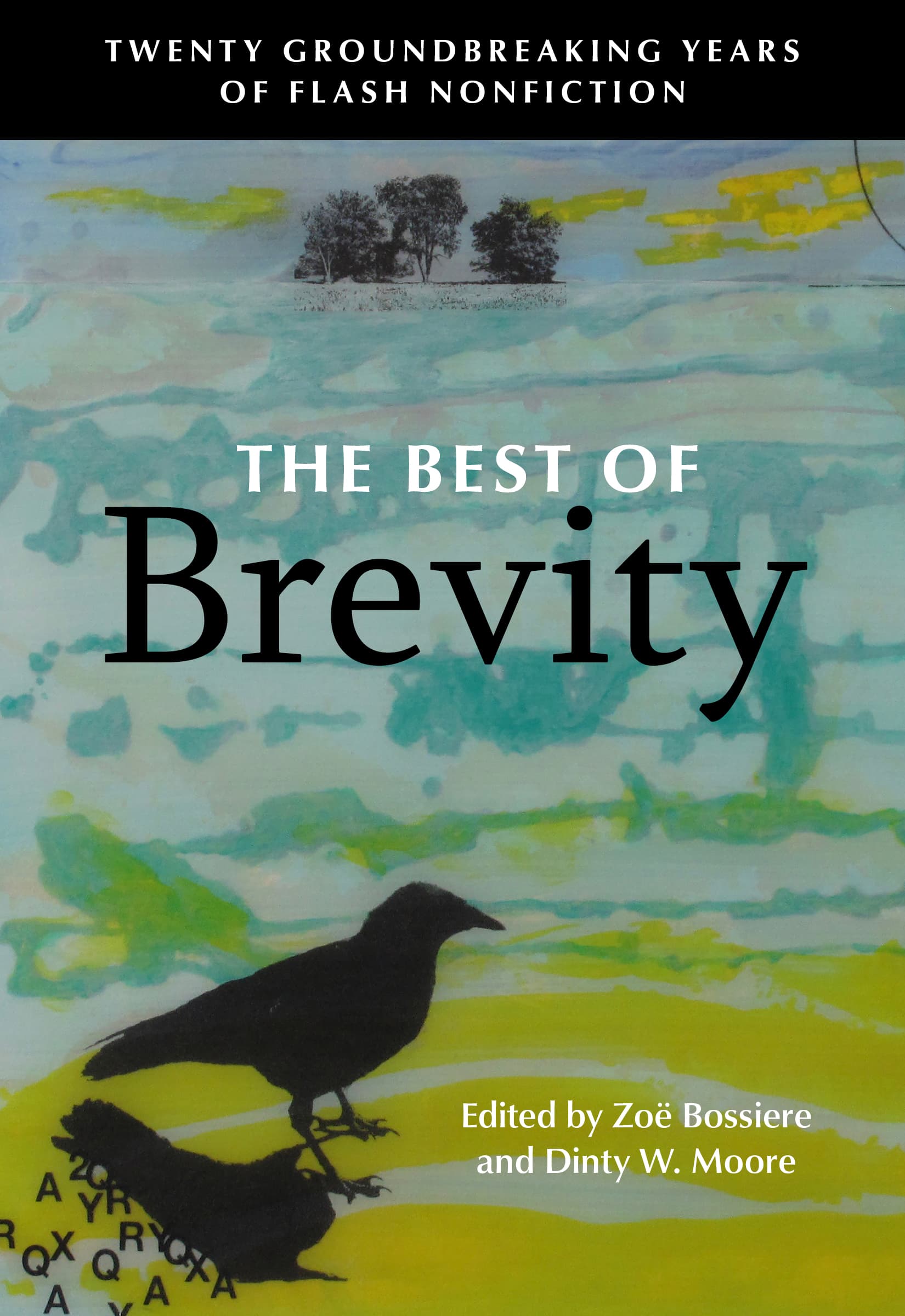 The Best of Brevity: Twenty Years of Groundbreaking Flash Nonfiction