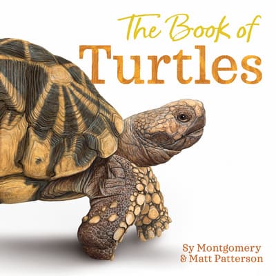 The Book of Turtles: A Fact-Filled Picture Book About Beloved Reptile Species for Kids