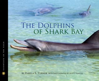 The Dolphins of Shark Bay: A Real-World Science Book on Animal Intelligence and Ocean Life for Children (Ages 10-12)