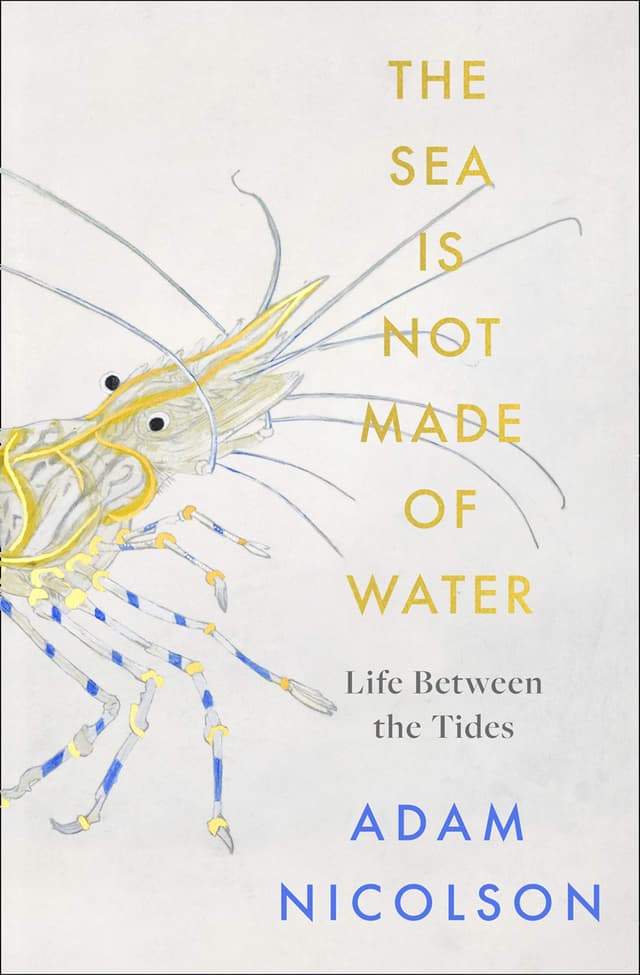 The Sea Is Not Made of Water: Life Between the Tides