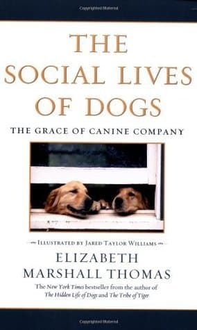 The Social Lives of Dogs: The Grace of Canine Company