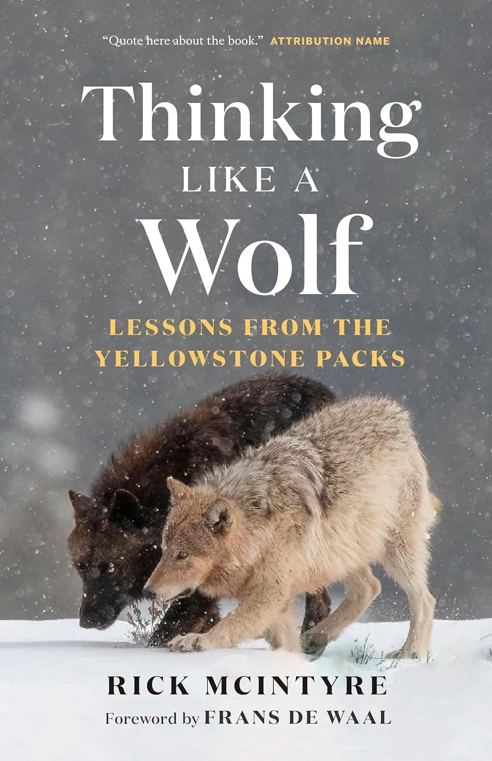 Thinking Like a Wolf: Lessons From the Yellowstone Packs