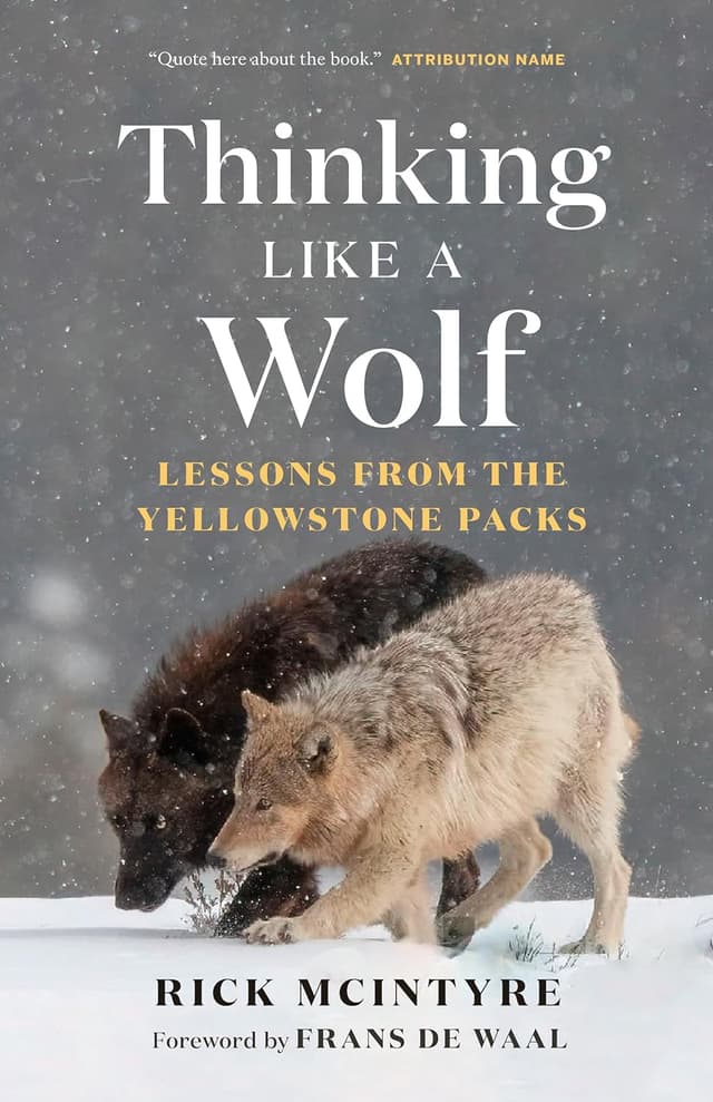 Thinking Like a Wolf: Lessons From the Yellowstone Packs