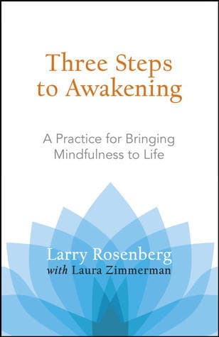 Three Steps to Awakening: A Practice for Bringing Mindfulness to Life