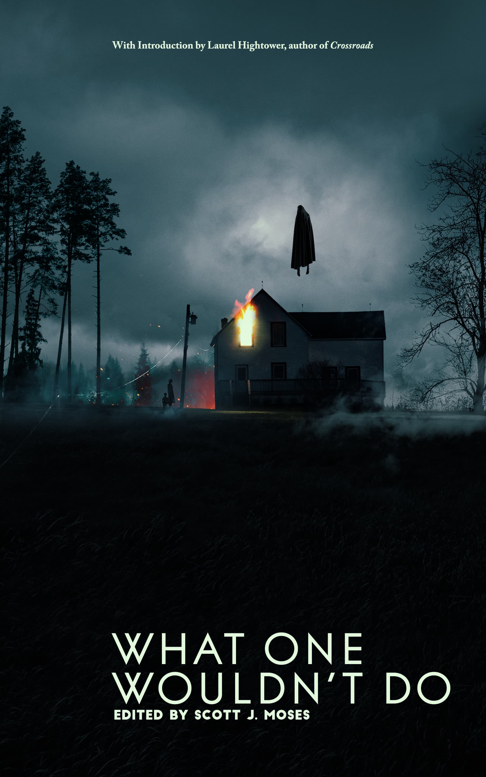 What One Wouldn't Do: An Anthology on the Lengths One Might Go To