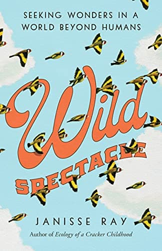 Wild Spectacle: Seeking Wonders in a World Beyond Humans